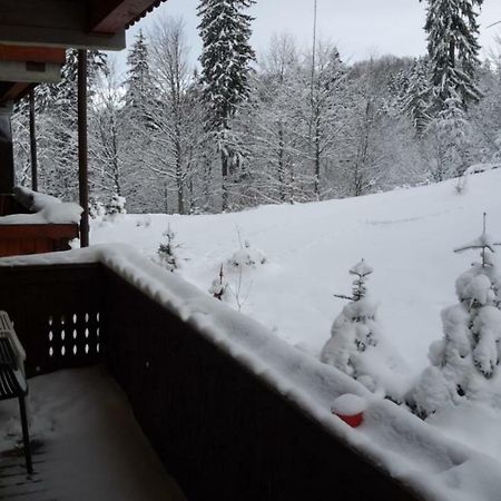 Fairytale Apartment Close To Bradu Ski Slope Poiana Brašov Exteriér fotografie