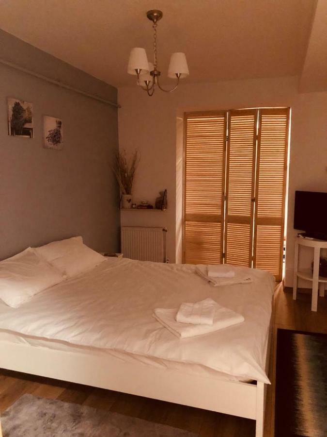 Fairytale Apartment Close To Bradu Ski Slope Poiana Brašov Exteriér fotografie