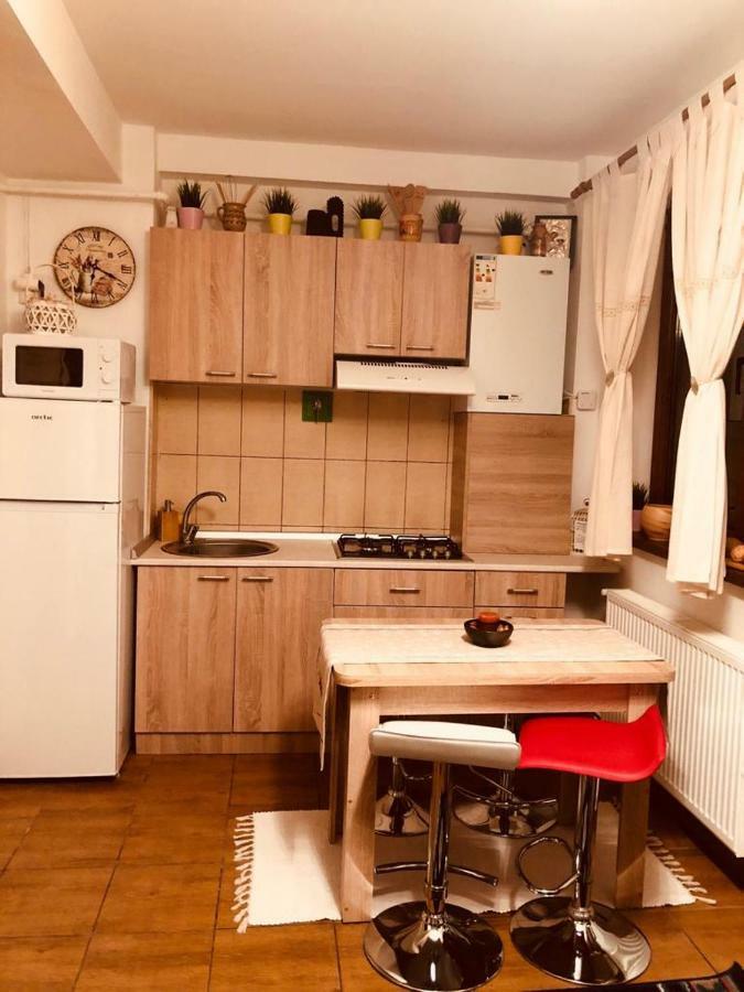 Fairytale Apartment Close To Bradu Ski Slope Poiana Brašov Exteriér fotografie