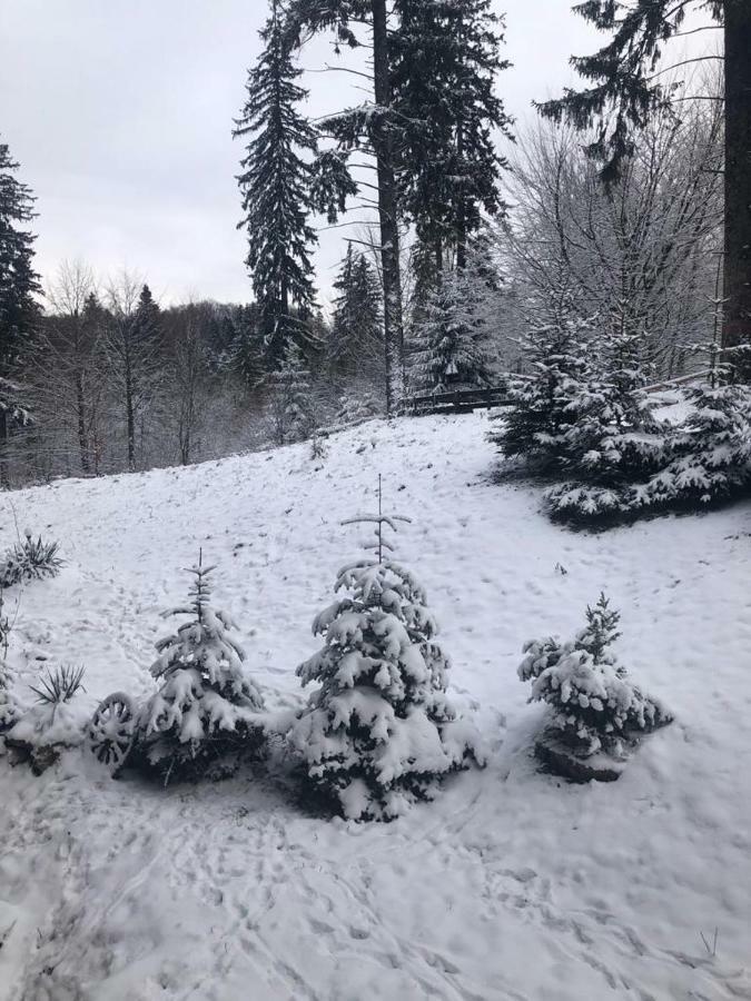 Fairytale Apartment Close To Bradu Ski Slope Poiana Brašov Exteriér fotografie