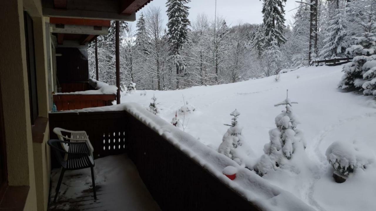 Fairytale Apartment Close To Bradu Ski Slope Poiana Brašov Exteriér fotografie
