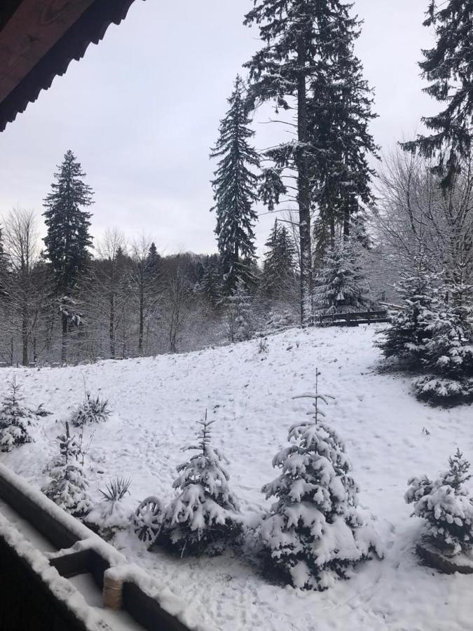Fairytale Apartment Close To Bradu Ski Slope Poiana Brašov Exteriér fotografie
